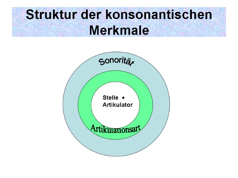 Struktur der konsonantischen Merkmale